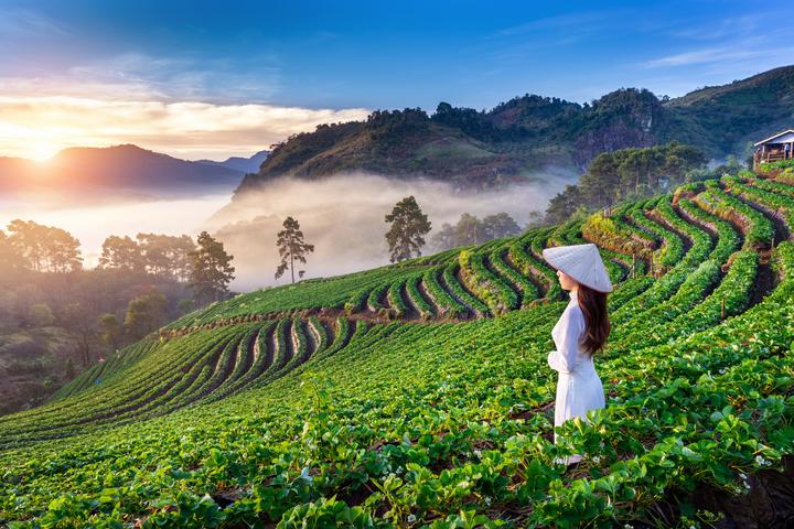 Video ngắn – Giải pháp truyền thông thông minh cho doanh nghiệp nhỏ