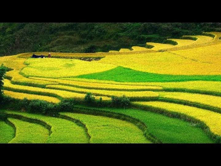 Thương mại hóa nội dung: Chìa khóa vàng trong kỷ nguyên video ngắn