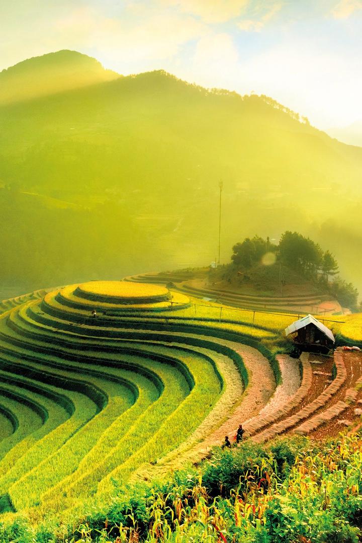 Quần dáng cong đang gây sốt với thiết kế độc đáo và tính ứng dụng cao, giúp tạo hiệu