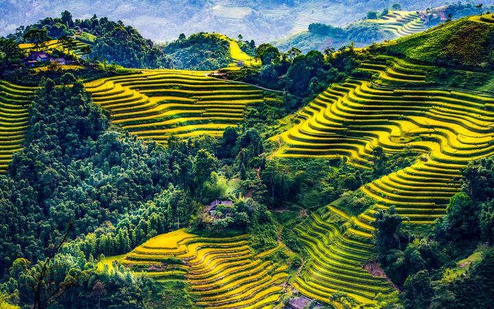 Chuyên gia Hotspot Matrix: Tại sao xu hướng