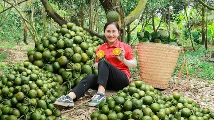 Cô giáo mầm non và hành trình