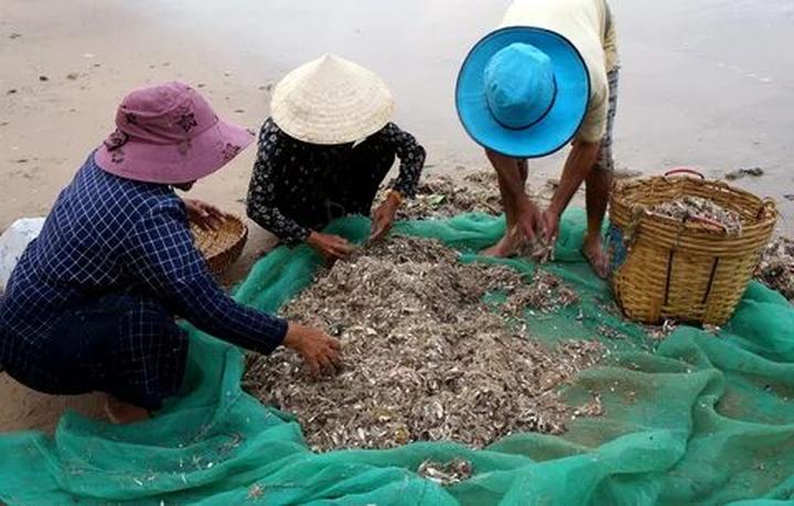 Xu hướng Sốc: Vụ tố 
