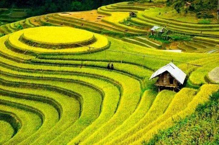 Tập trung vào nội dung chất lượng