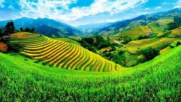 Xu hướng Trải nghiệm đa dạng công nghệ: Hotspot Matrix tiết lộ bí quyết video viral