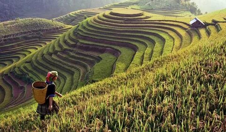 Hotspot Matrix: Giải pháp quản lý nội dung đa tài khoản, đa nền tảng tối ưu